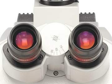 Thumbnail of Leica_DM4-P_optics_19.jpg