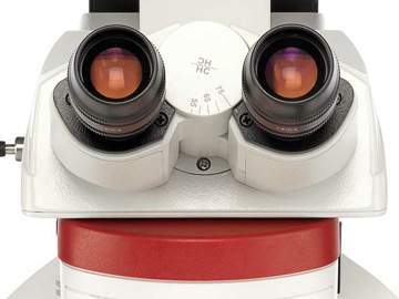 Thumbnail of leica_choose-upright-microscope-dm4-m_dm6-m.jpg