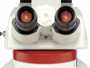 Thumbnail ofleica_choose-upright-microscope-dm4-m_dm6-m.jpg