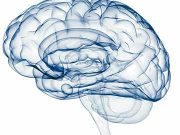 Thumbnail ofleica-stereo-microscope-fusion-optics.jpg