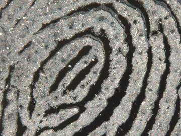 Miniaturansicht von Leica_Illumi_Fingerprint.jpg